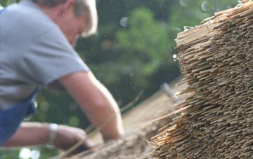 professional Llandrillo thatchers